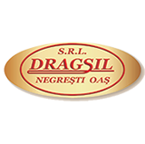 Dragsil SRL
