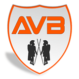 AVB SISTEME S.R.L.