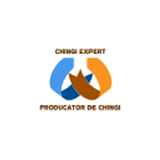 CHINGI EXPERT SRL