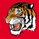 Tiger Amira SRL