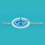PISCINE ARISTOCRATE SRL