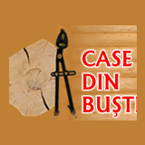 BUSTENICONSTRUCT SRL